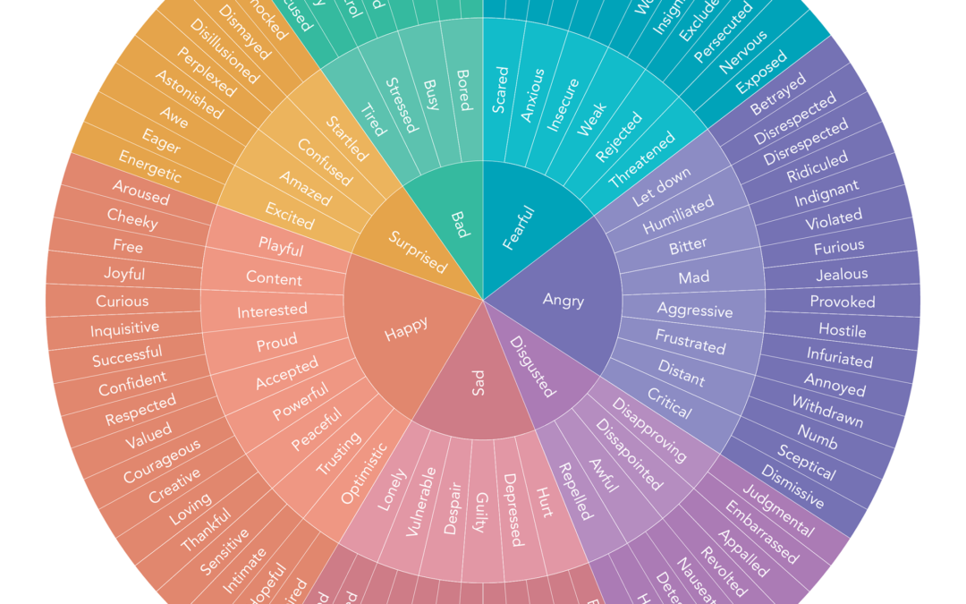 Emotions Wheel: Putting Words to Big Feelings
