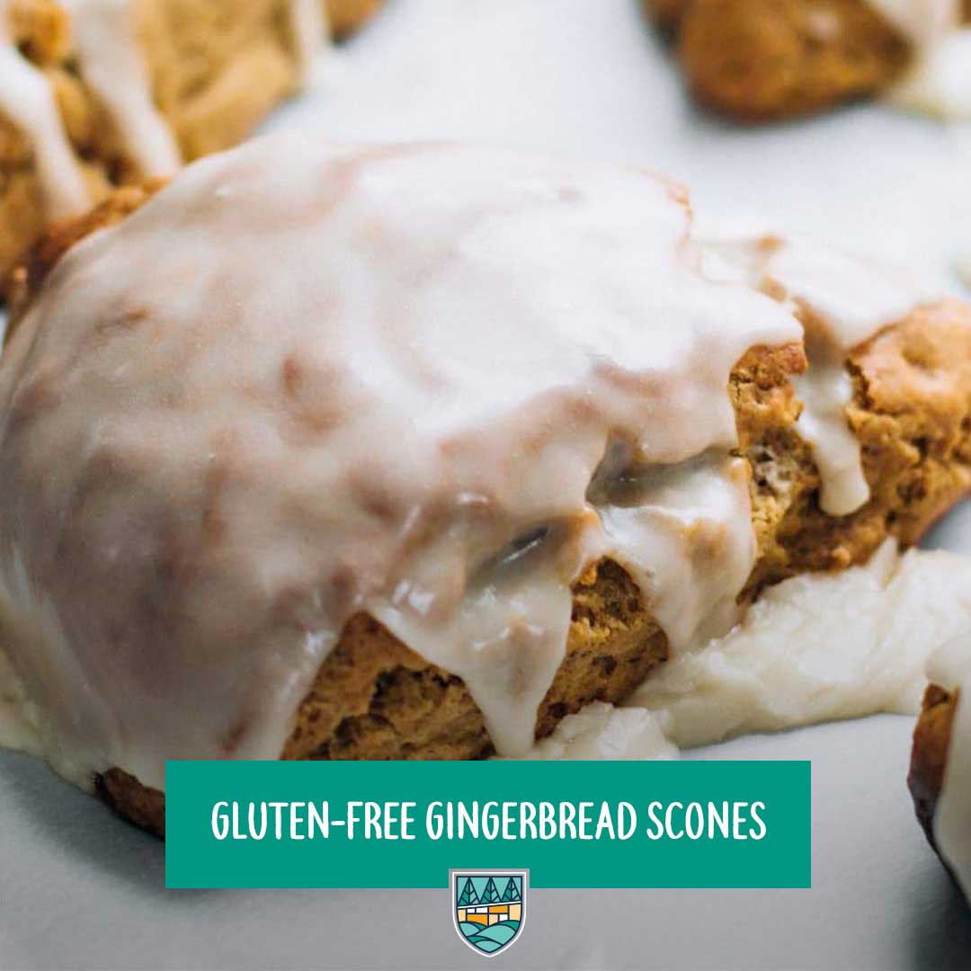 Gluten-free Gingerbread Scones
