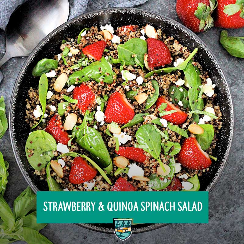 Strawberry Quinoa Spinach Salad