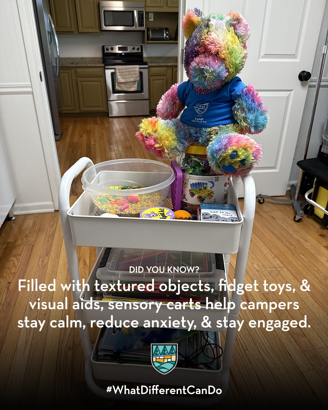 WDCD-Did-You-Know-Sensory-Cart