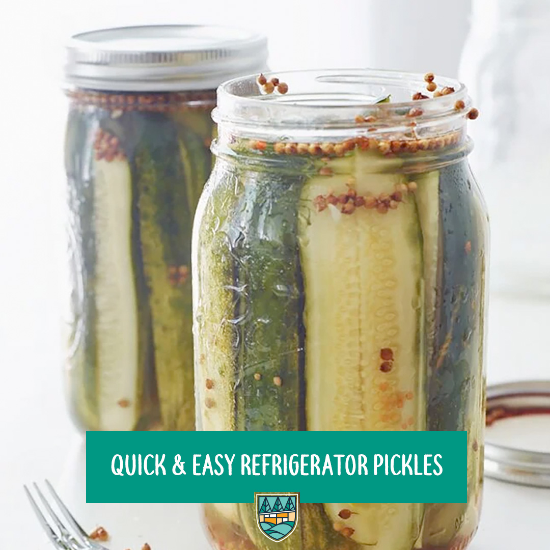Quick & Easy Refrigerator Pickles